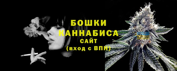 твердый Новозыбков