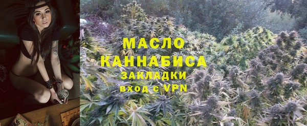 твердый Новозыбков