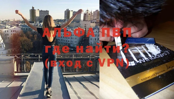 твердый Новозыбков