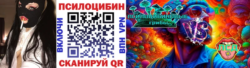 Купить где  Калининск  Галлюциногенные грибы Psilocybine cubensis 